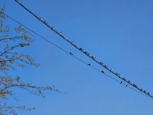 Sortir de sa zone de confort : quand changer d’environnement devient un mouvement vers soi.