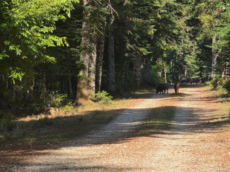 sortir de sa zone de confort des surprises inattendues